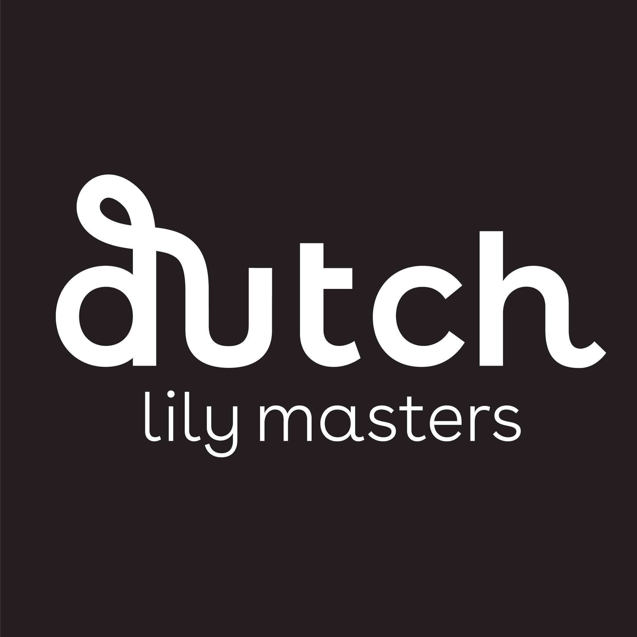 Dutch Lily Masters by Vianen Flowers